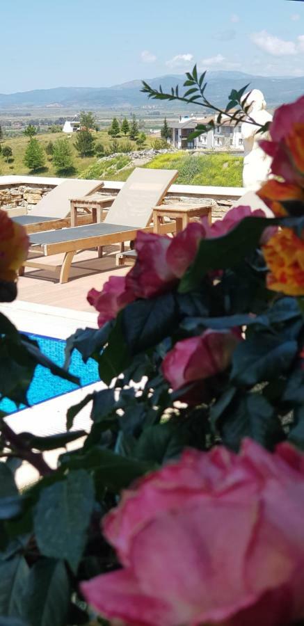 Hotel Vinifera Ephesus Selçuk